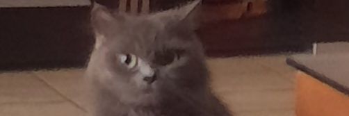 Ghadasrk's profile banner image