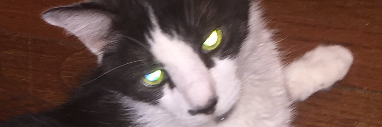 eshIII's profile banner image