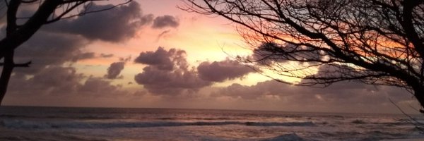 dafodly Profile Banner