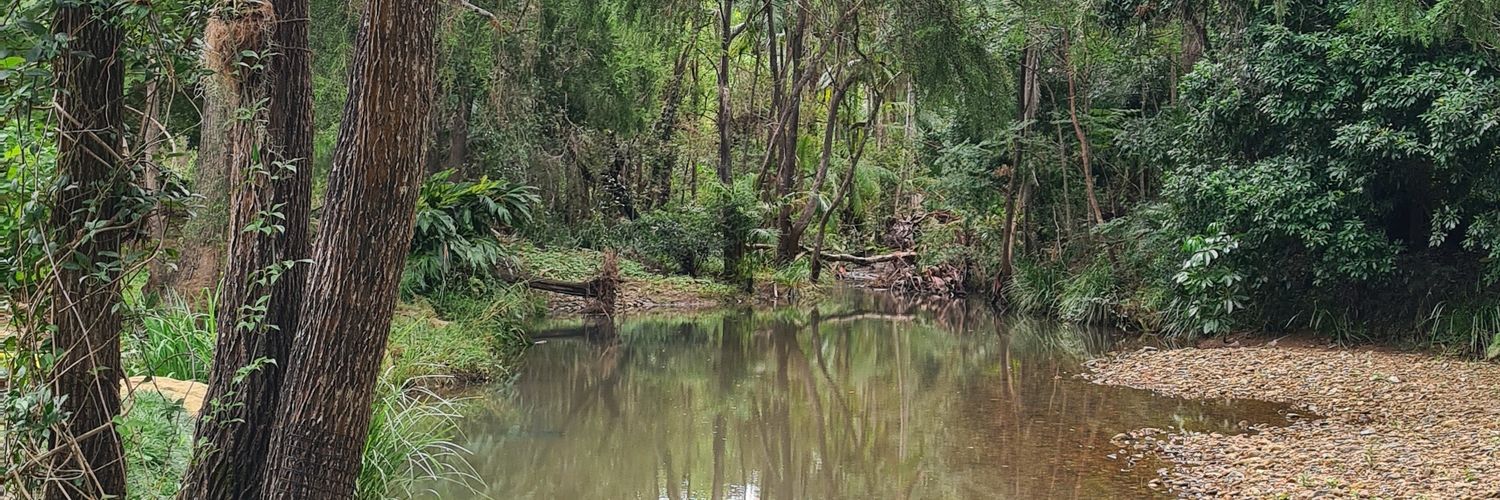 Jessie Wingard banner