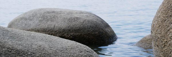 baus Profile Banner