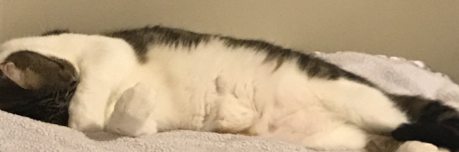 unOGdoc's profile banner image