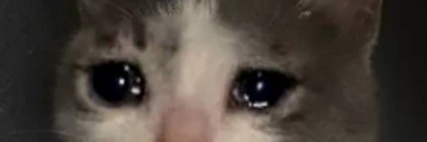 MissHannya's profile banner image