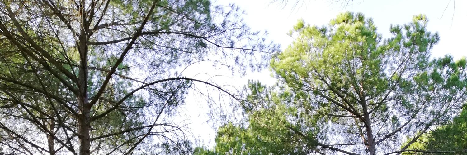 mrpb93's profile banner image
