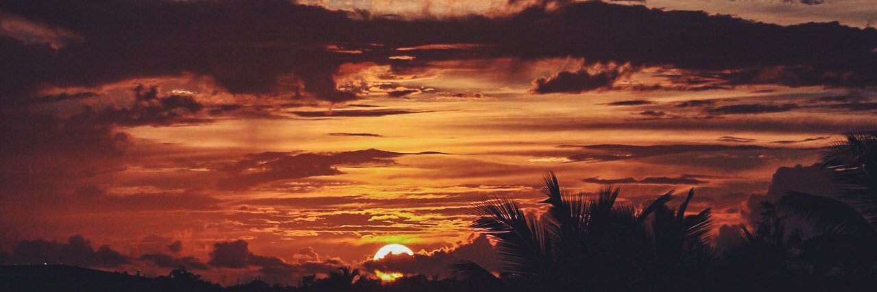 aryamlenid's profile banner image