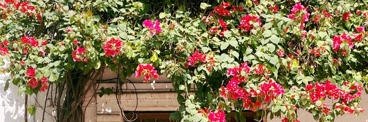 pamg___'s profile banner image