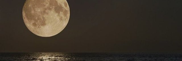 BurCuLi banner