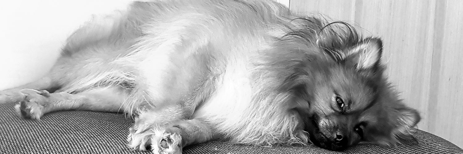 Neil__Lewis's profile banner image