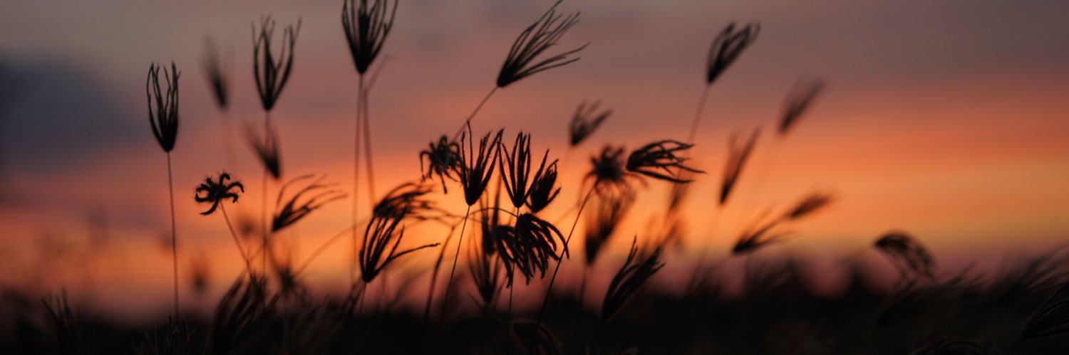 RaeRetha's profile banner image