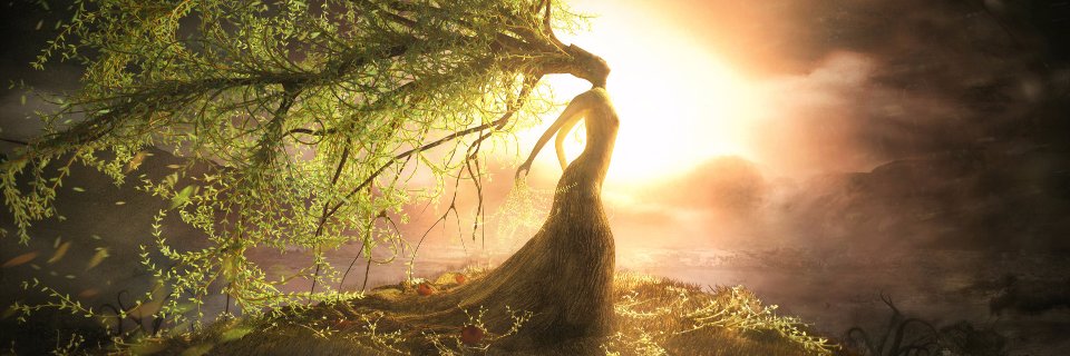 WitchenTraining's profile banner image