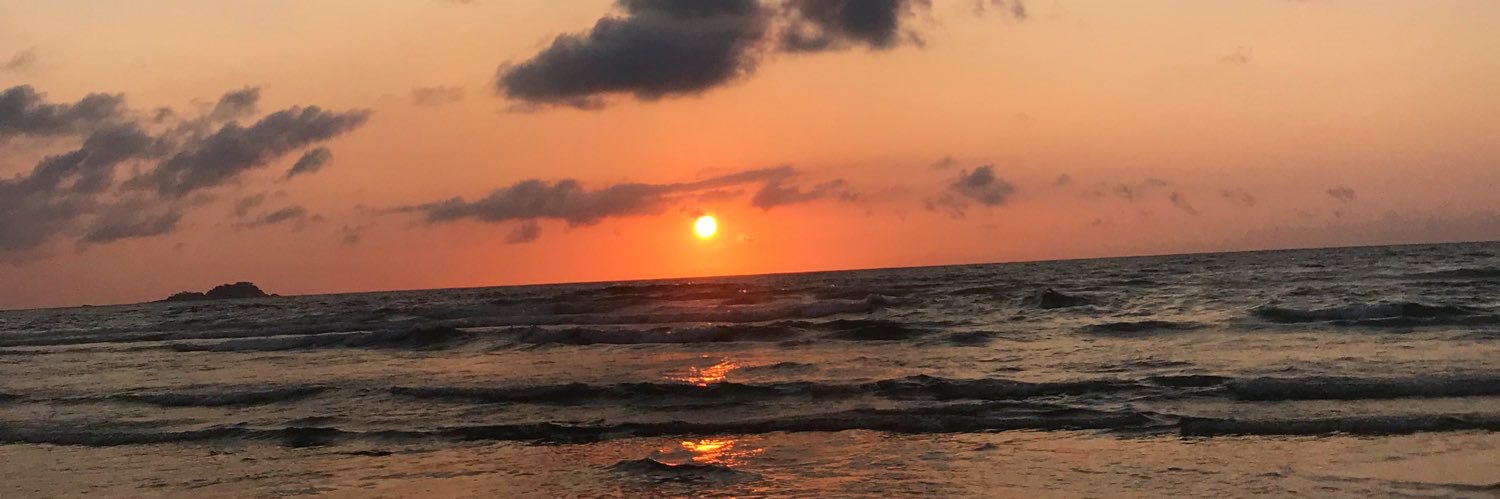 carodriguess_'s profile banner image