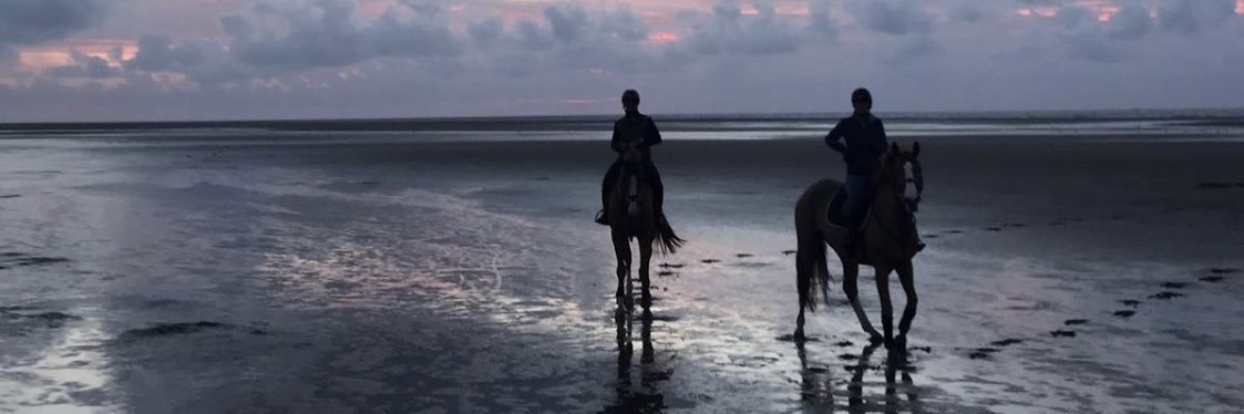 laylalilly_'s profile banner image