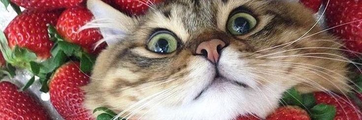 Nin_A88's profile banner image