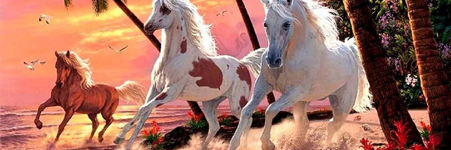 Casey Boyd banner