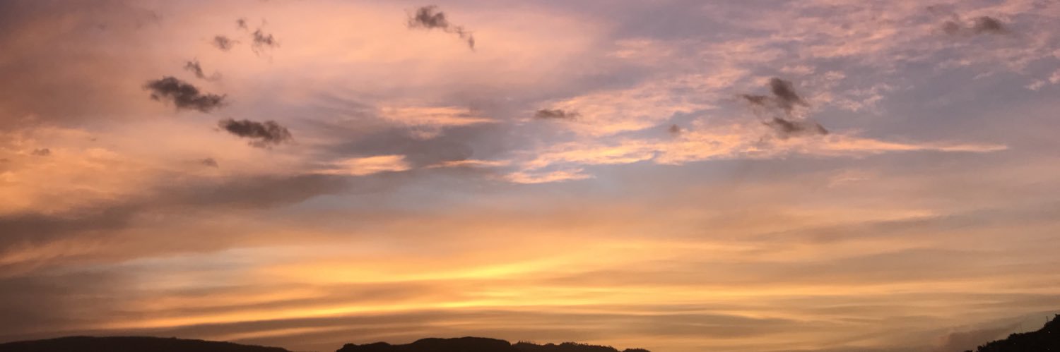 Xalaila's profile banner image