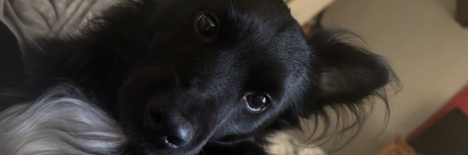 phatmanrobinson's profile banner image