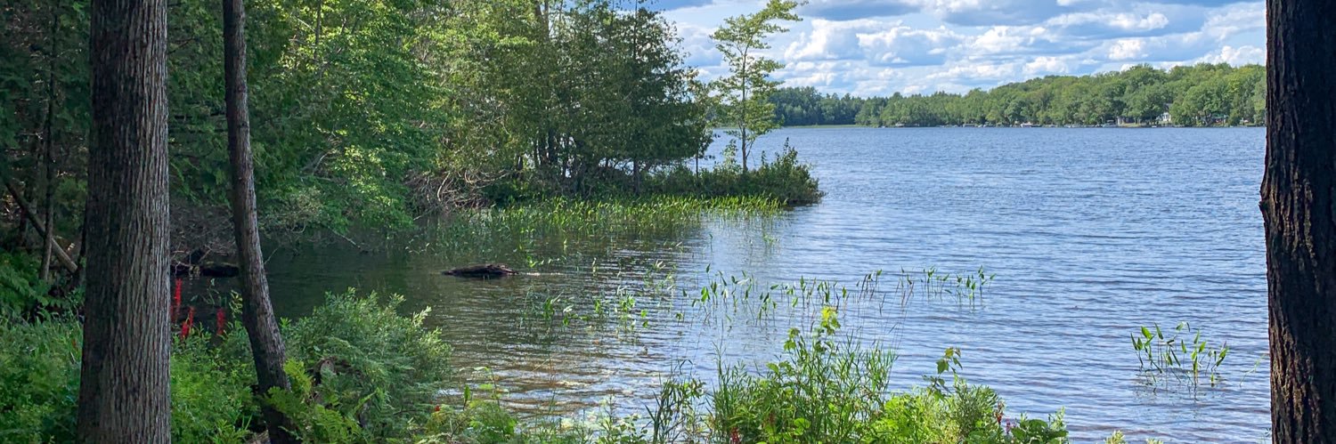 Kate isnt really here so follow on bsky banner