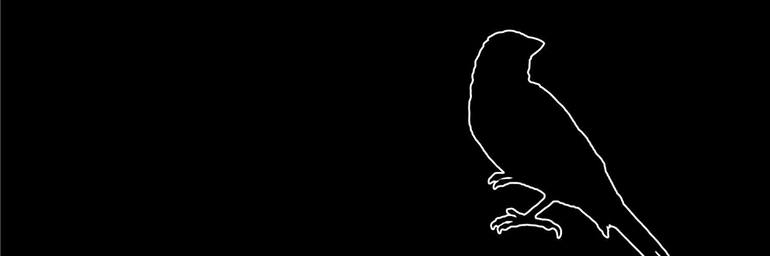 fillipelezo's profile banner image
