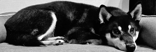 r1ccha Profile Banner