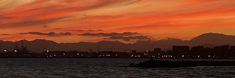 M A R T A banner