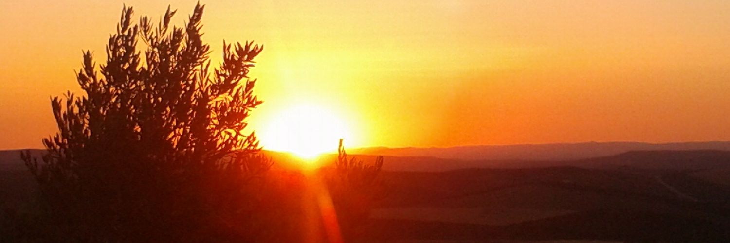 CSsRCastro's profile banner image