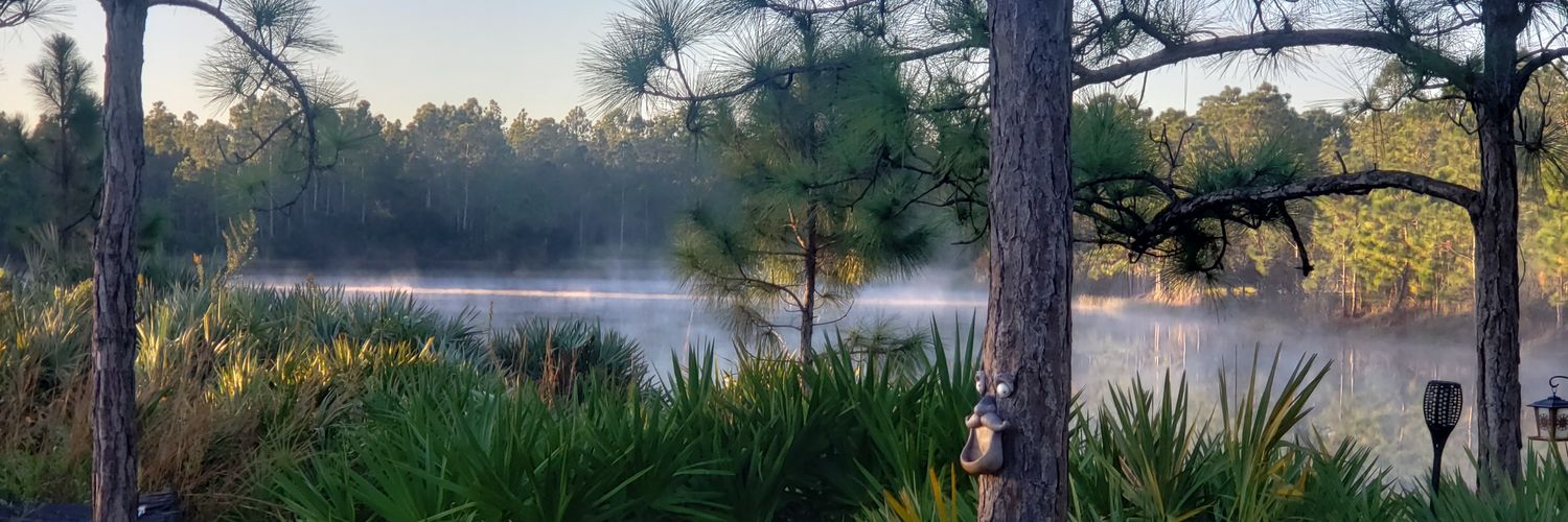 Surviving Florida (barely) banner