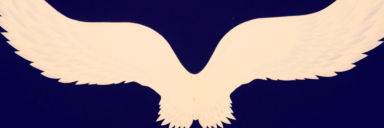 passant91's profile banner image