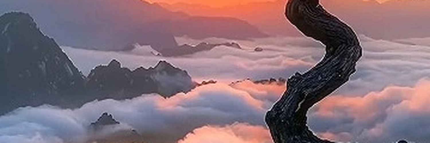 yunqxaction's profile banner image