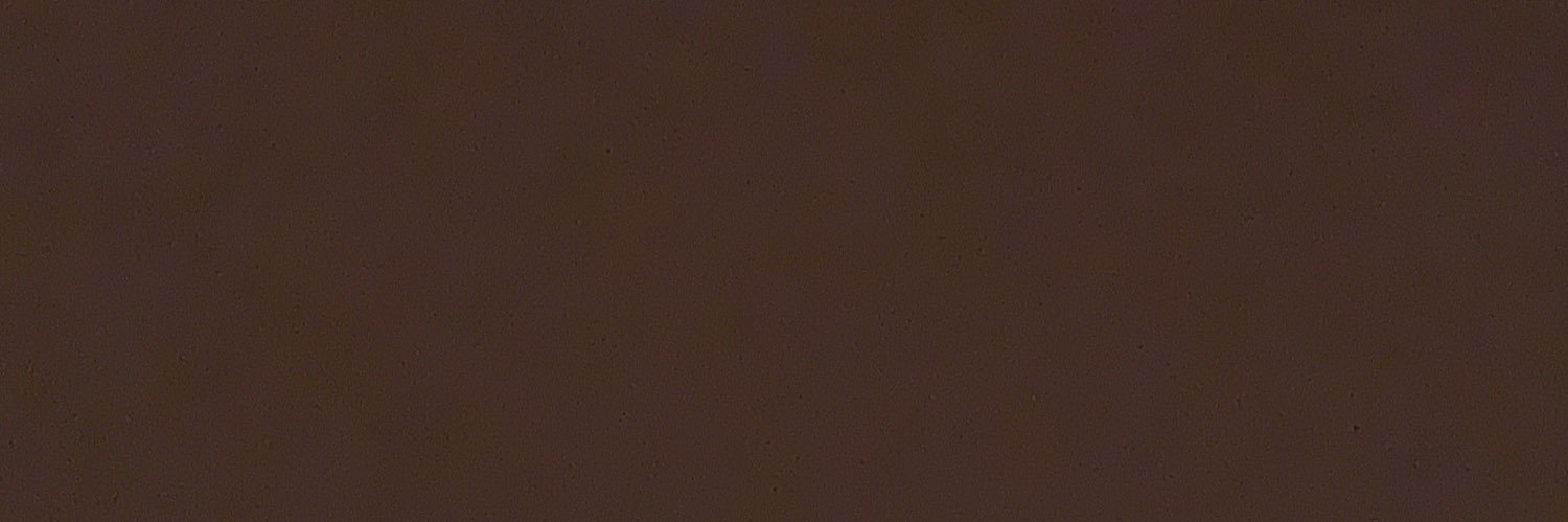 aditimalhotra_'s profile banner image
