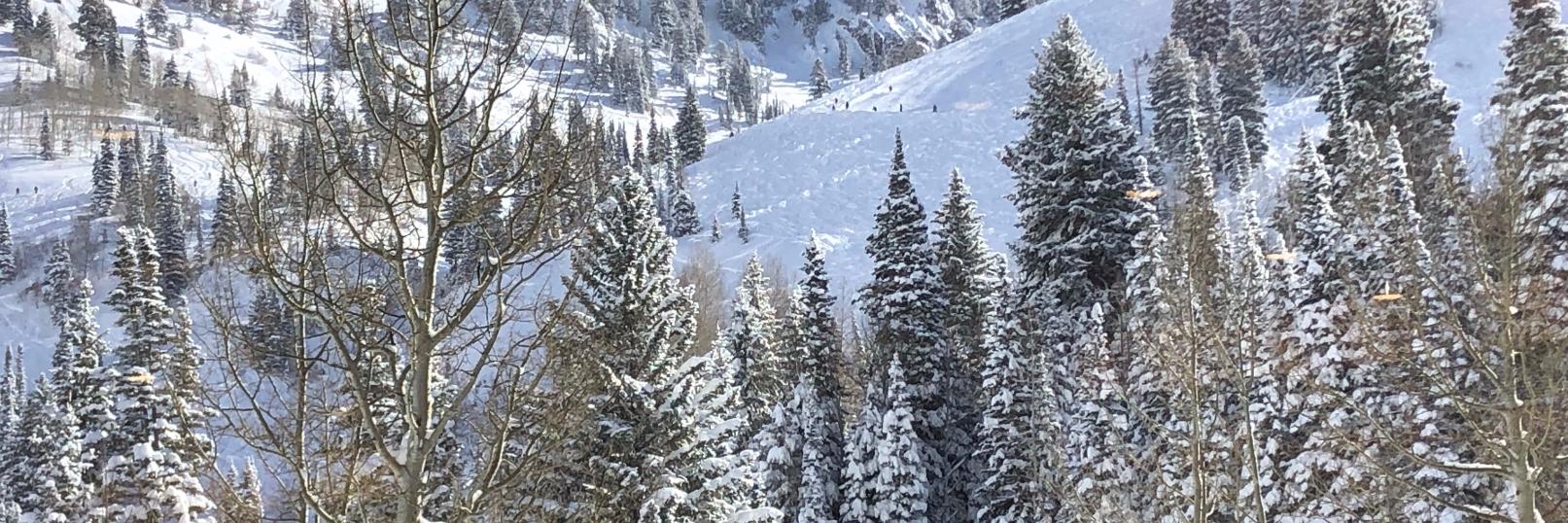 Snow Sports R Fun banner
