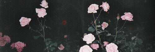 Gaskarthh_'s profile banner image
