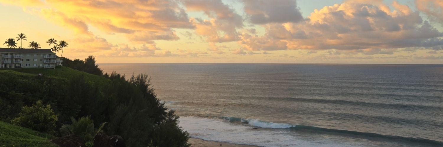 Timmie Pollock, Ph.D. banner