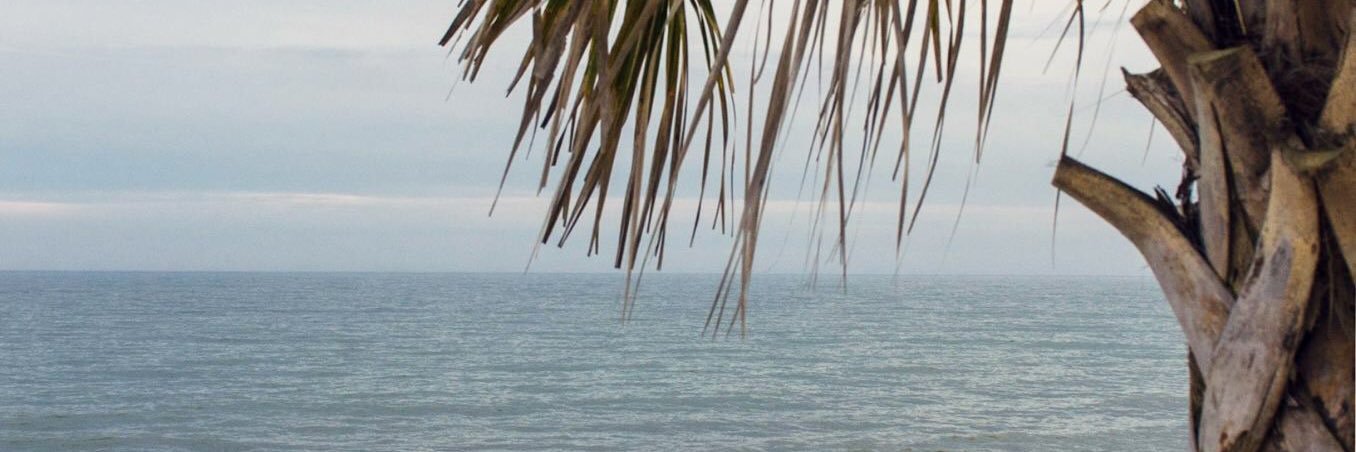 eefeurer's profile banner image