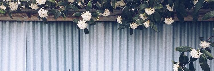 929_mi's profile banner image