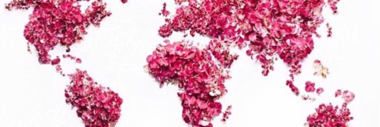 S_ForSugar's profile banner image