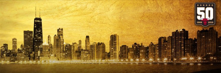 FLEX_CHILL's profile banner image