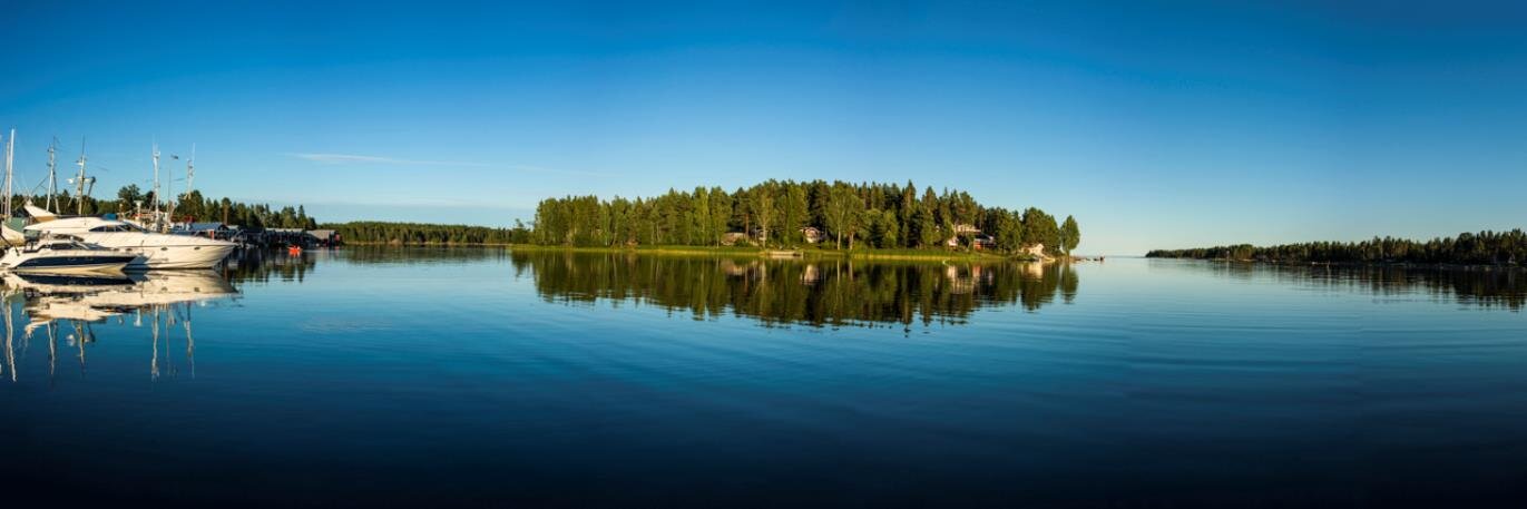 viking_Martin's profile banner image