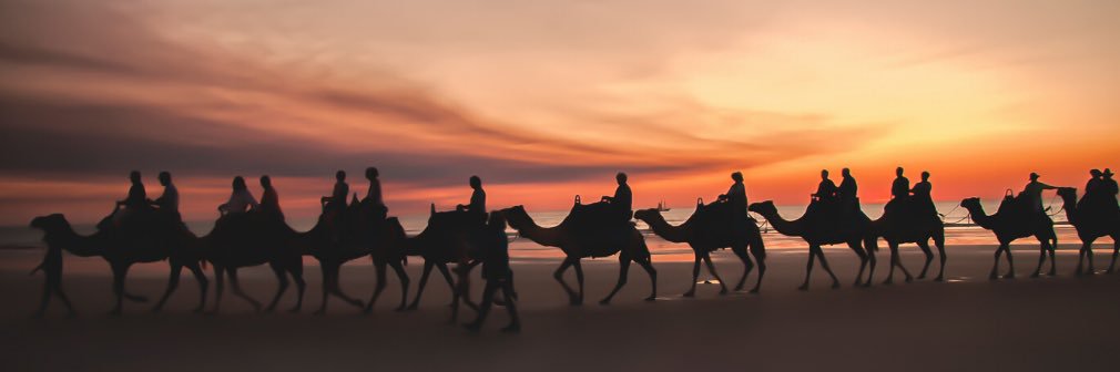 Sydney Cove Oyster Bar banner