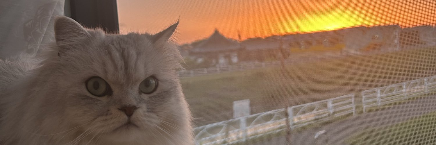 tetsuu_mao's profile banner image