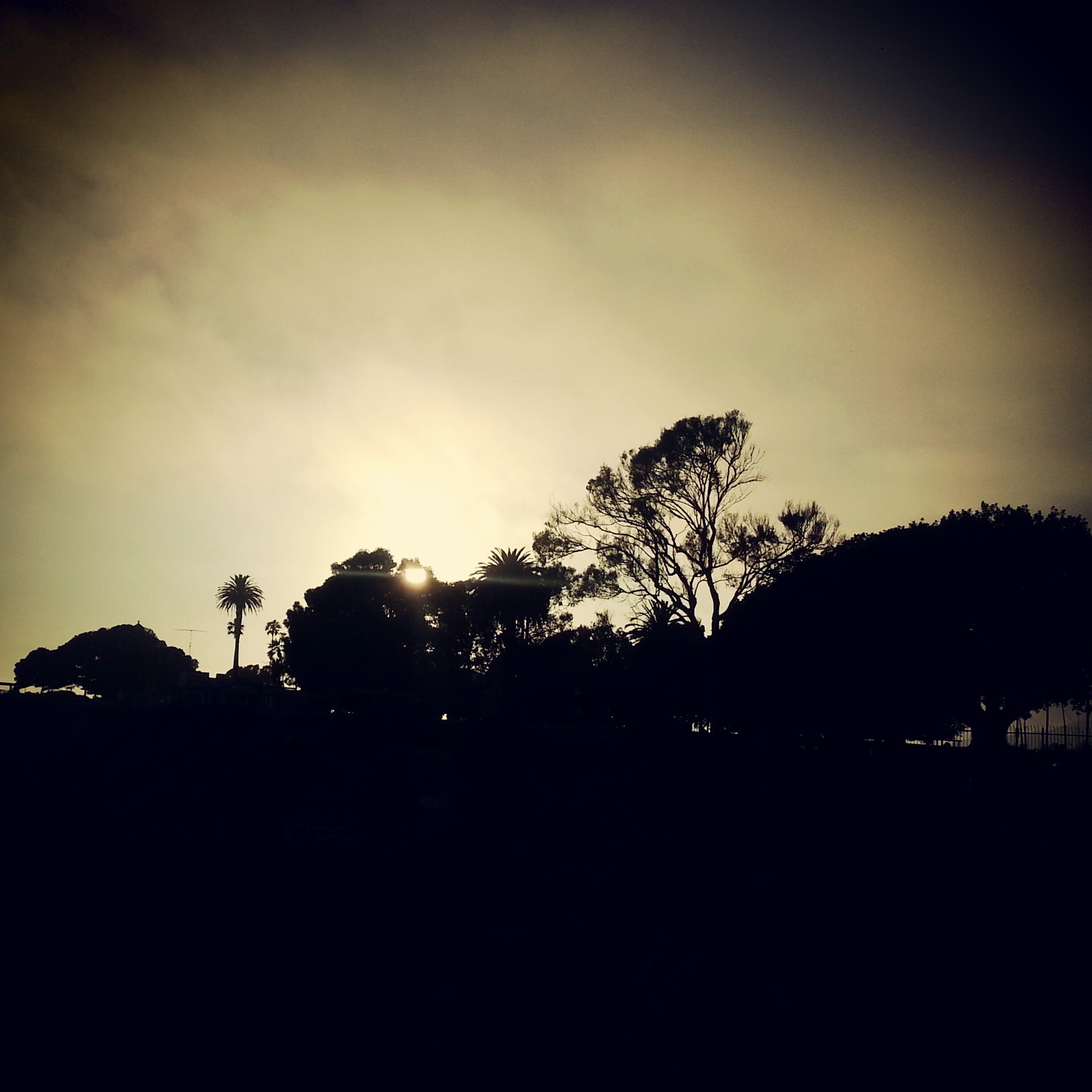johnskeeze's profile banner image