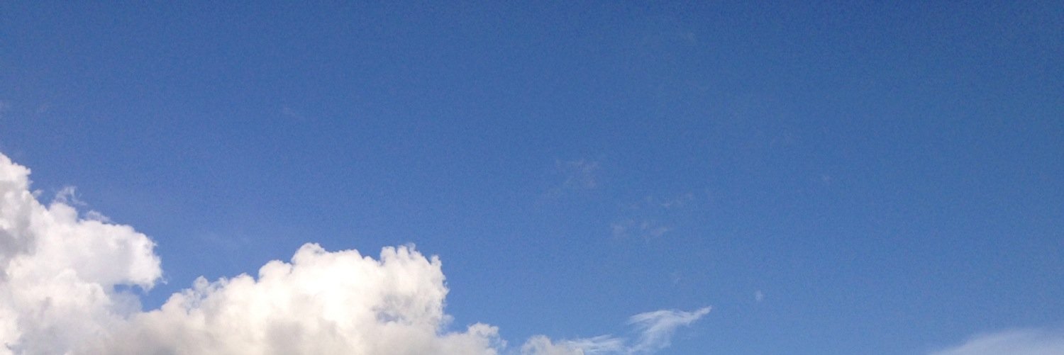 mariacperea's profile banner image