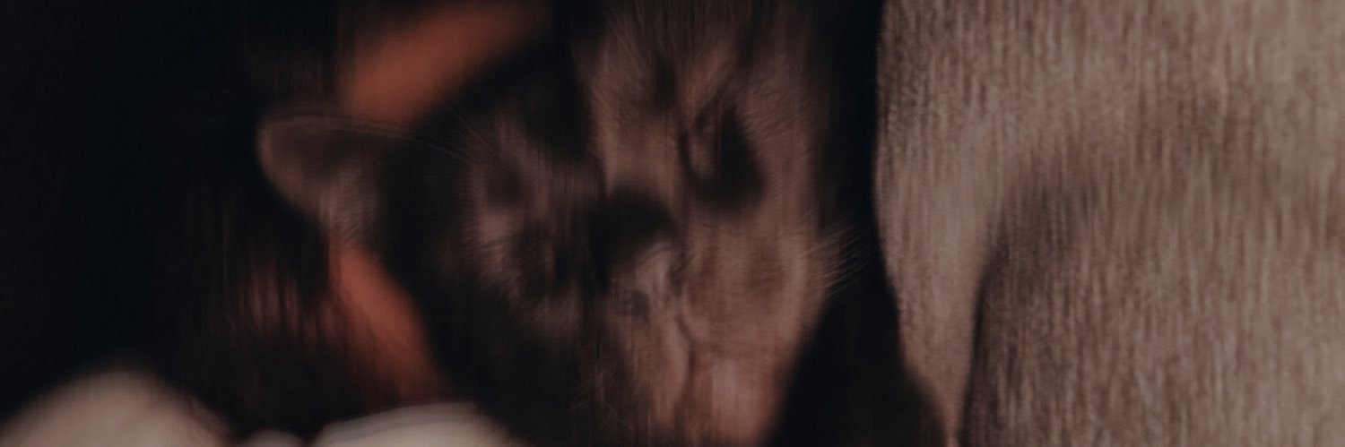 ToiaOrtizz's profile banner image