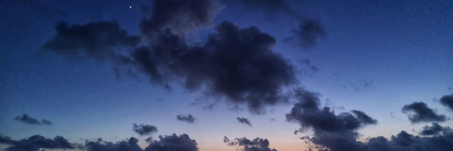 TerenceSurin's profile banner image