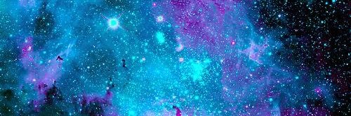 t_beaneyyy's profile banner image