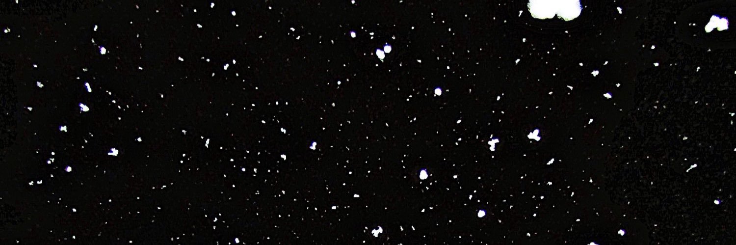 Nappy_Pappy's profile banner image