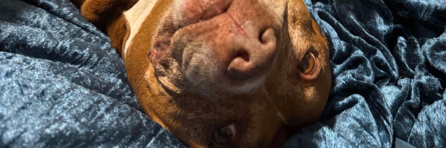 Lquefarley's profile banner image