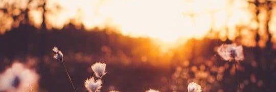 rifiandraa's profile banner image