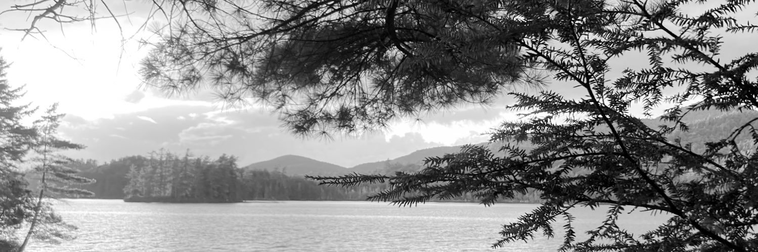 Sarah L Knapp banner