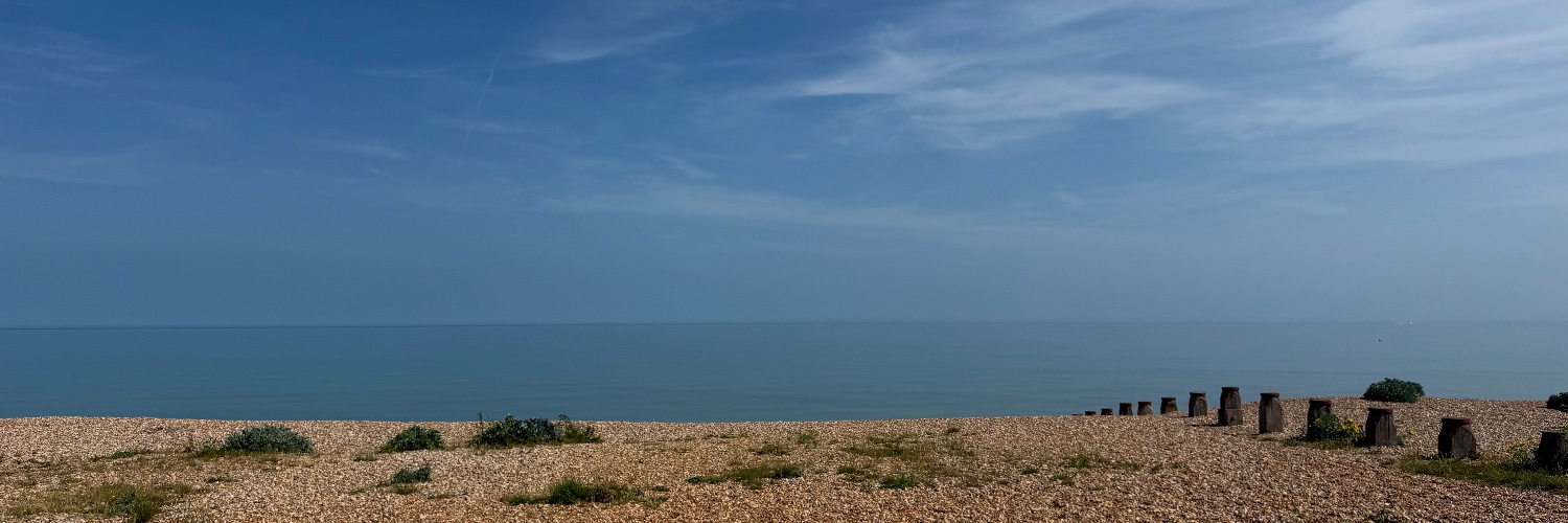 Henry Anderson banner