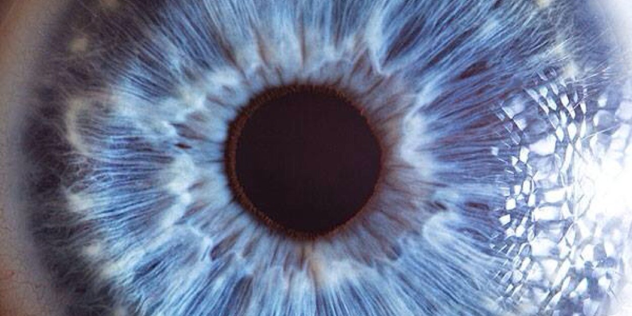 Connor_Wild's profile banner image